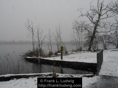 Winter at Doorly Park